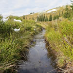 Überschwemmter Wanderweg am Großen Schober.