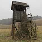 Hochsitz bei der Buschenschank Fedl in der Steiermark